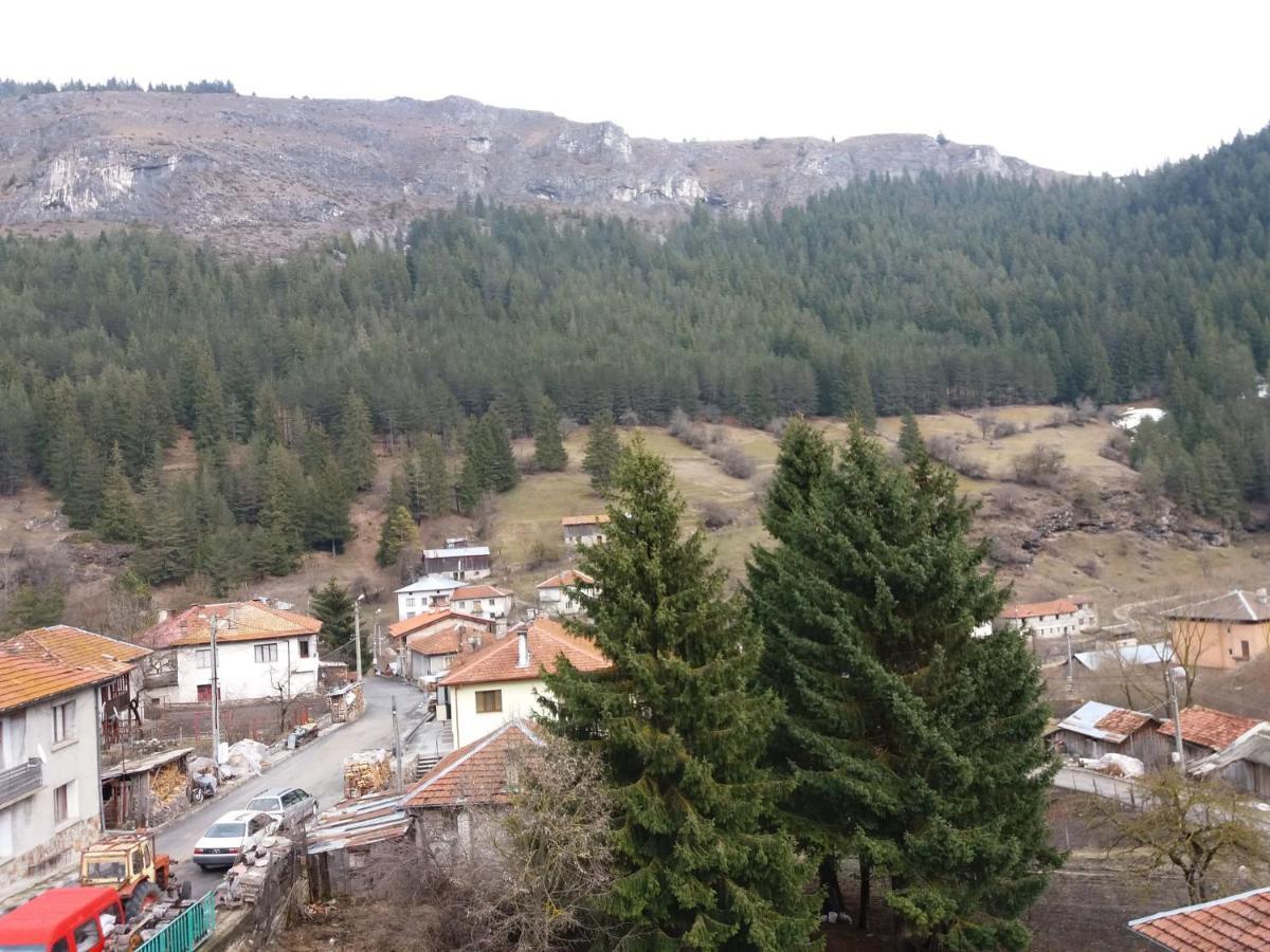 Къща За Гости Камината Trigrad Exterior photo