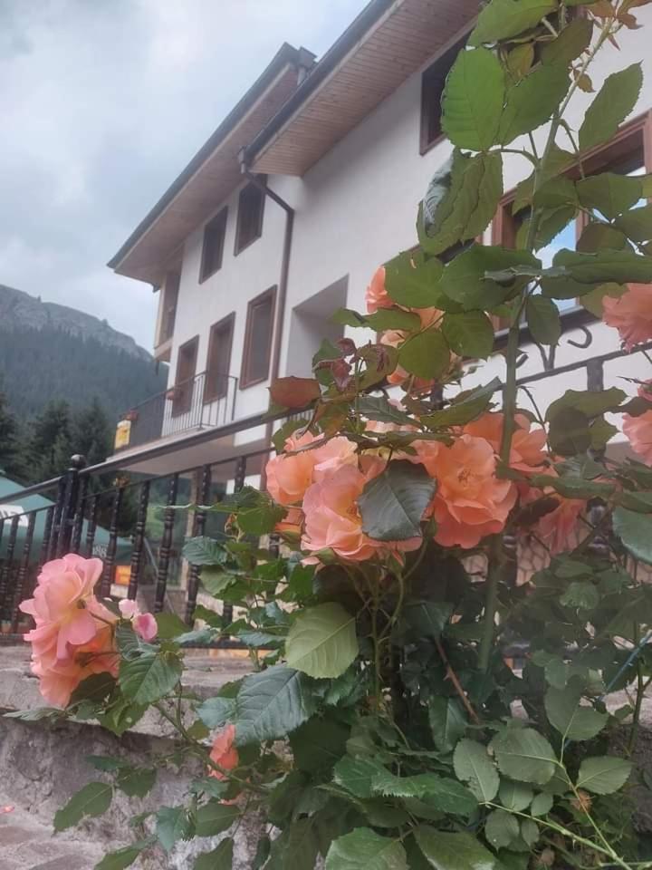 Къща За Гости Камината Trigrad Exterior photo